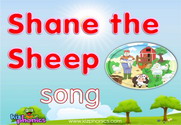 Shane the Sheep Song