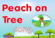 Peach on Tree Song