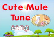 Cute Mule Song