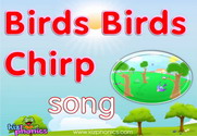 Birds Chirp Song